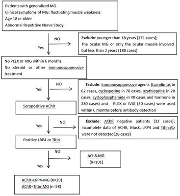 Clinical Characteristics and Prognosis of Anti-AChR Positive Myasthenia Gravis Combined With Anti-LRP4 or Anti-Titin Antibody